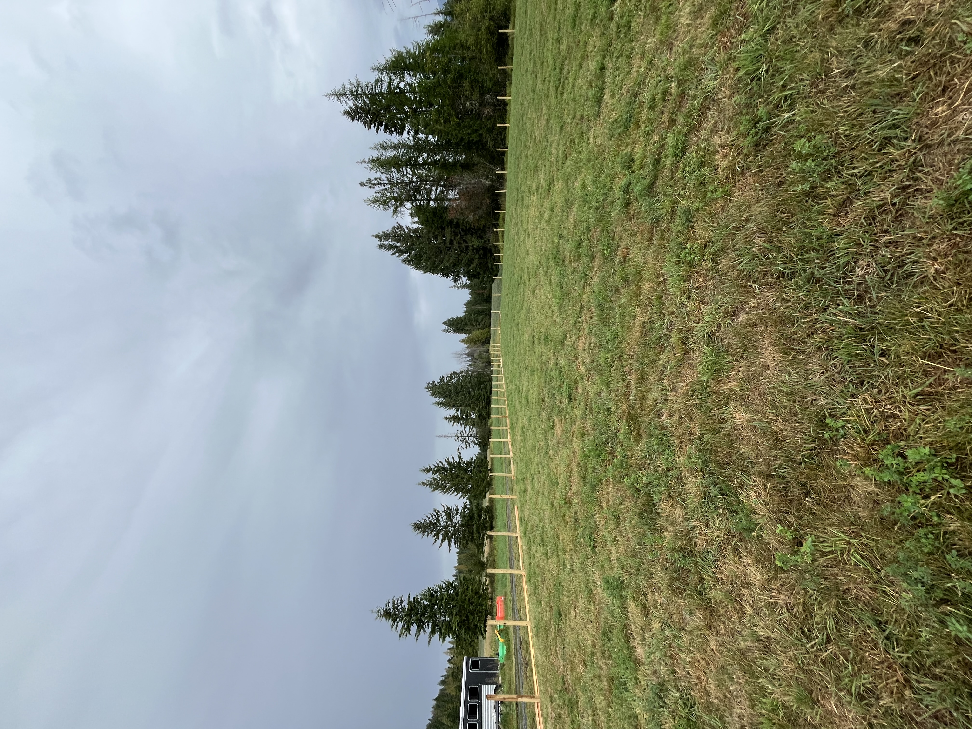 Livestock Fencing — image 6