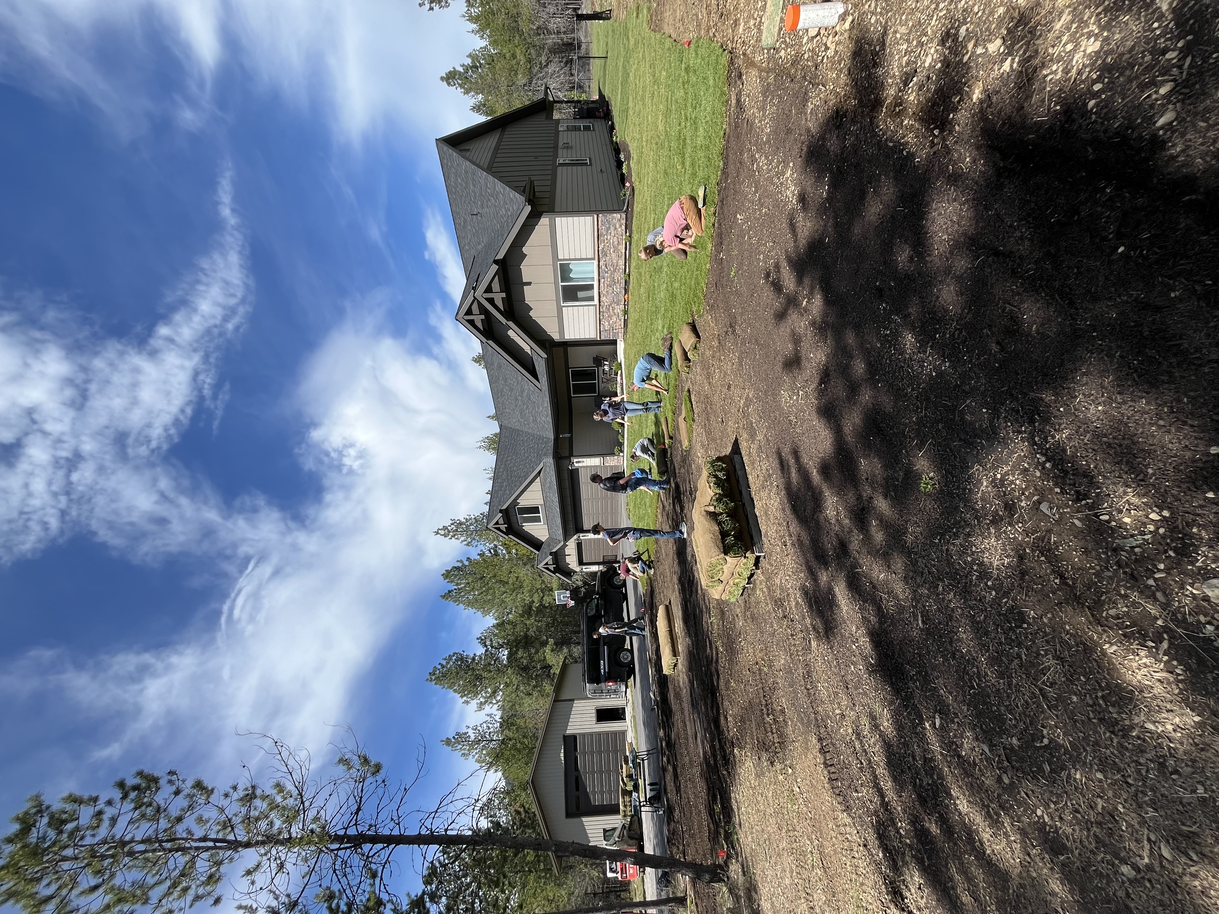 Sod Installation — image 5