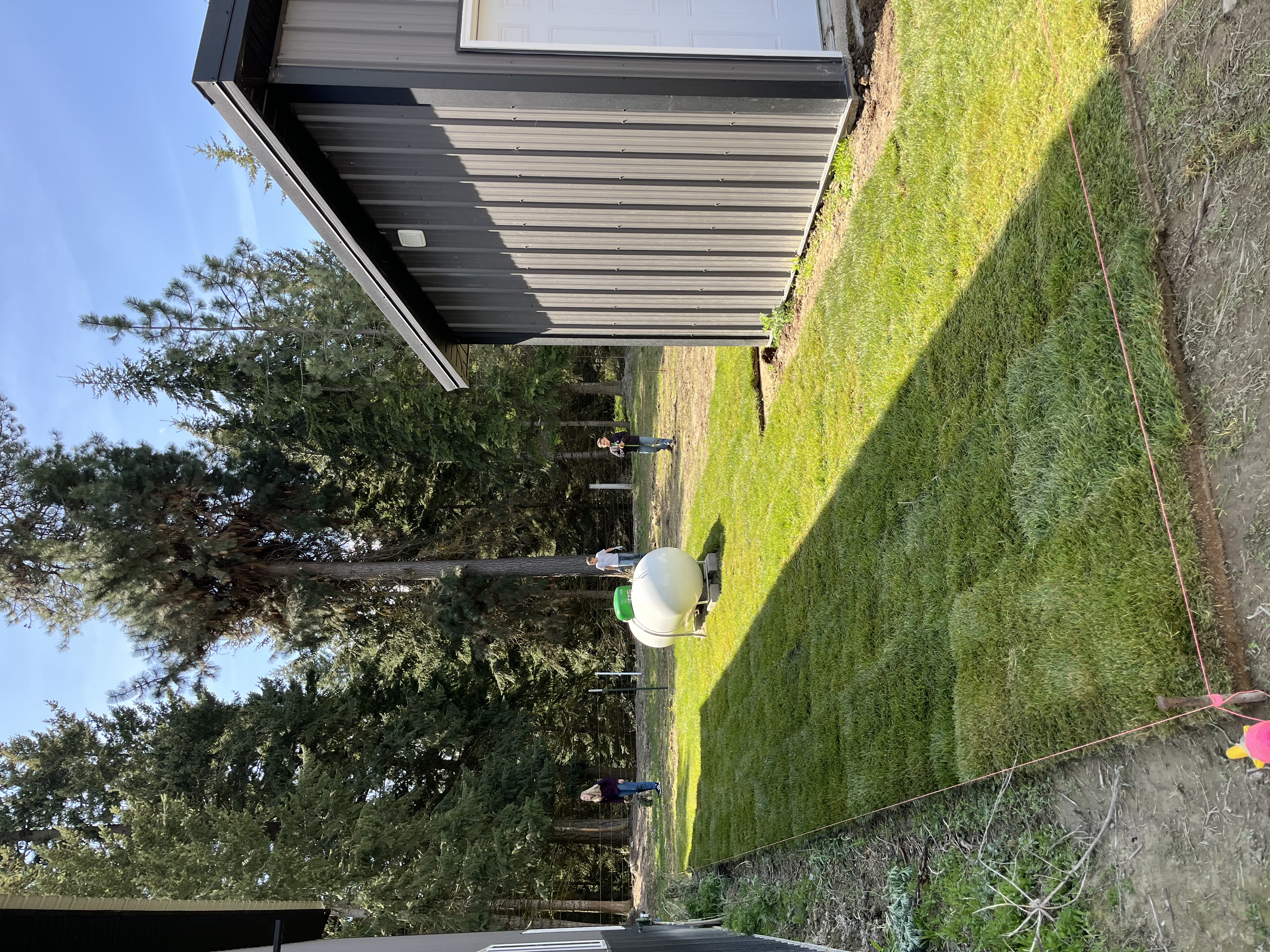 Sod Installation — image 3