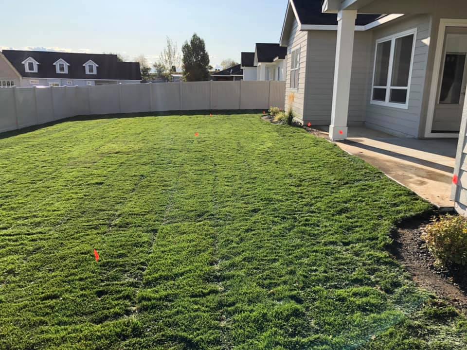 Sod Installation — image 2