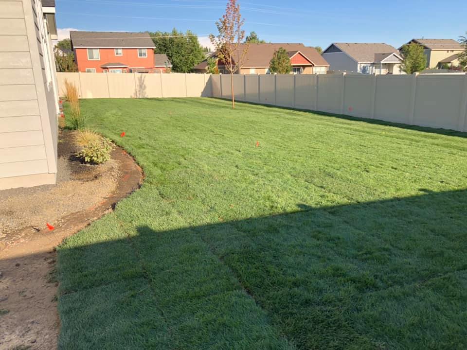Sod Installation