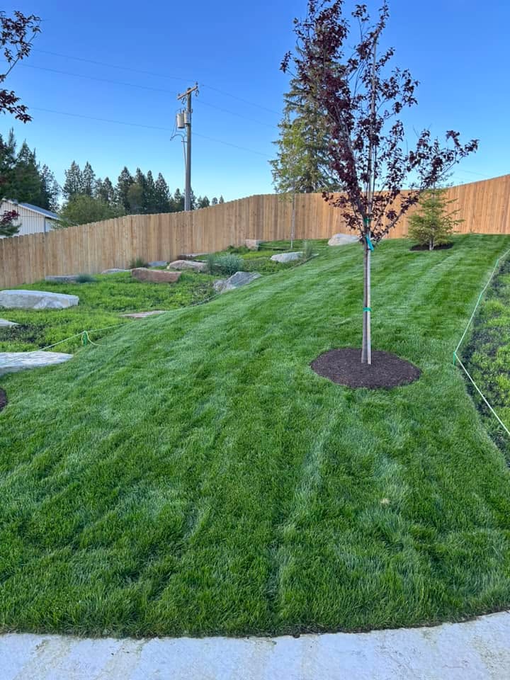 Specialty — image 17