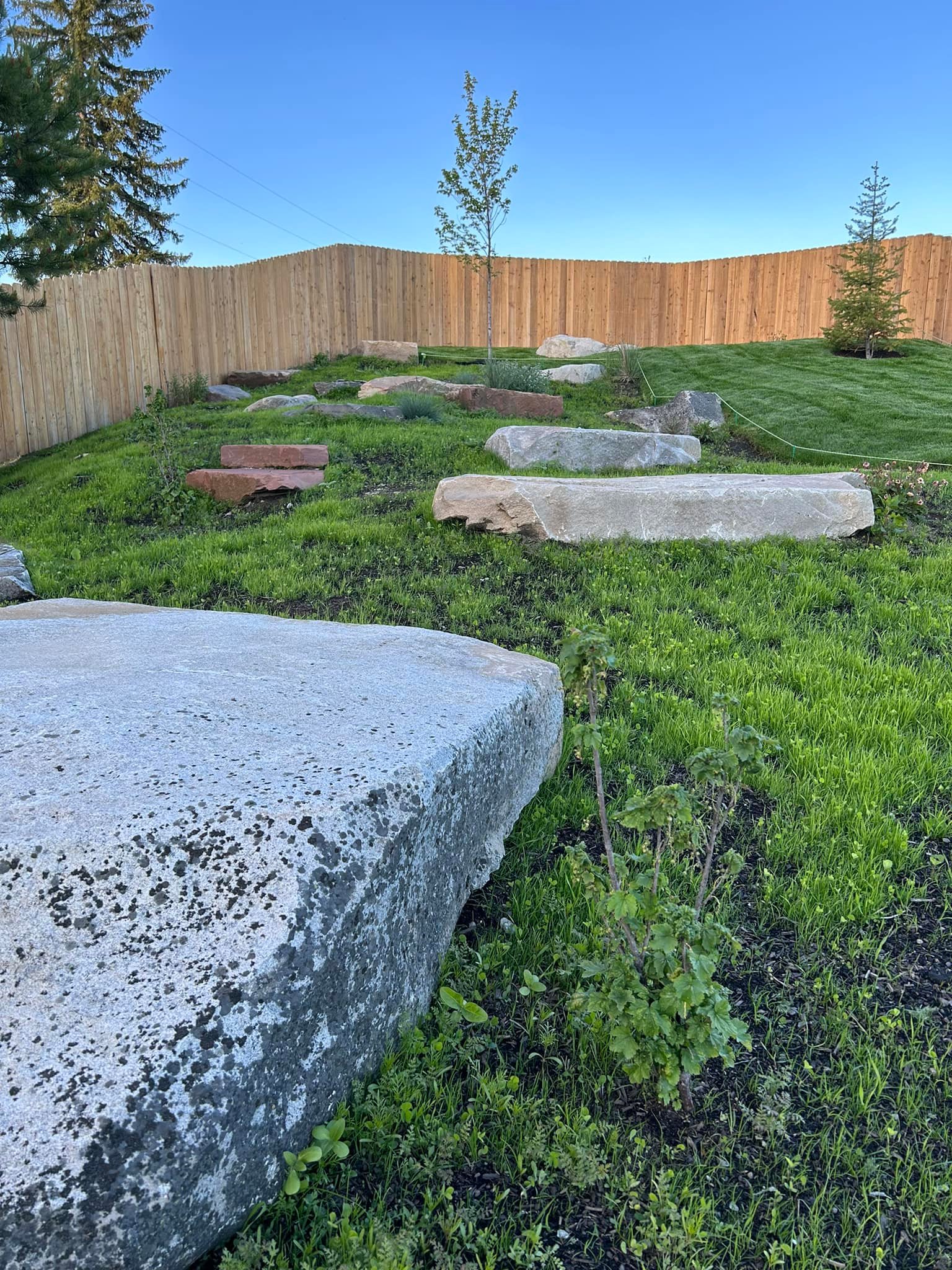 Specialty — image 5