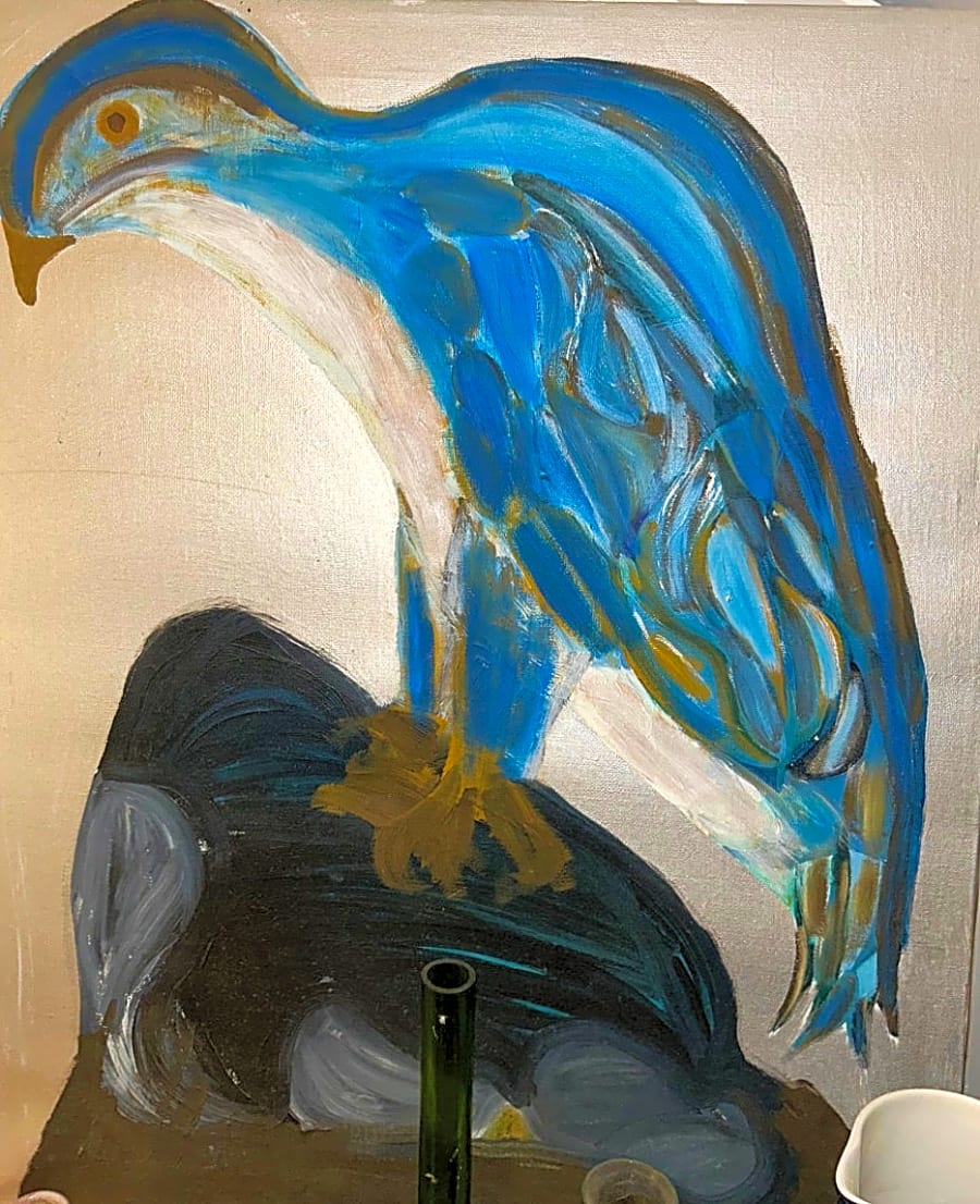 Aquila
