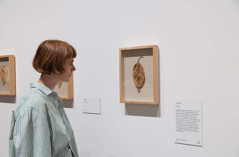 Installation view of the Ana Mendieta retrospective at Tate Modern