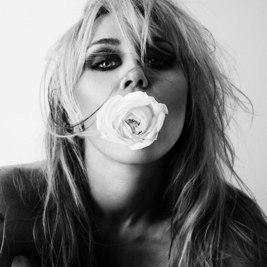 Miley Bass Persuades album artwork by Mert Alas, black and white portrait with rose