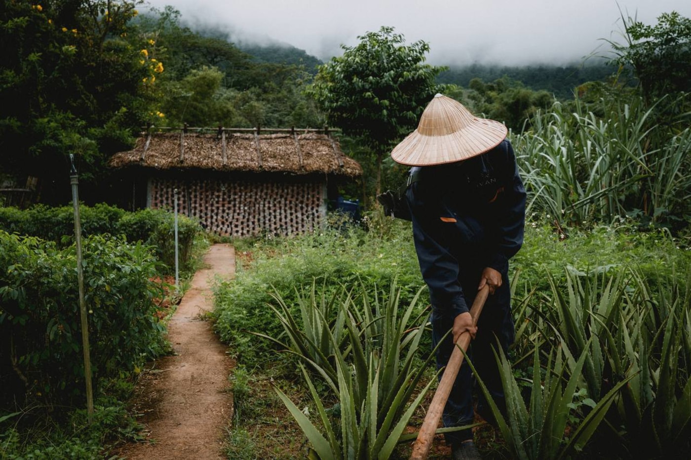 Farmer working with hoe beside thatched hut in Avana Retreat organic garden