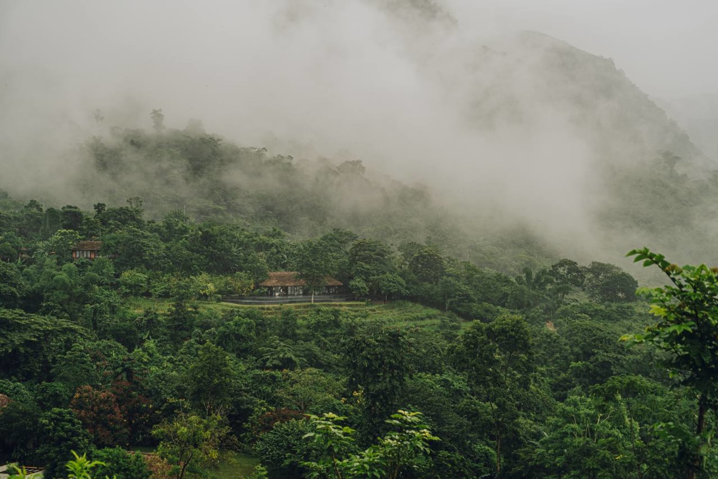 Villa with pitched roof nestled in misty jungle mountains at Avana Retreat