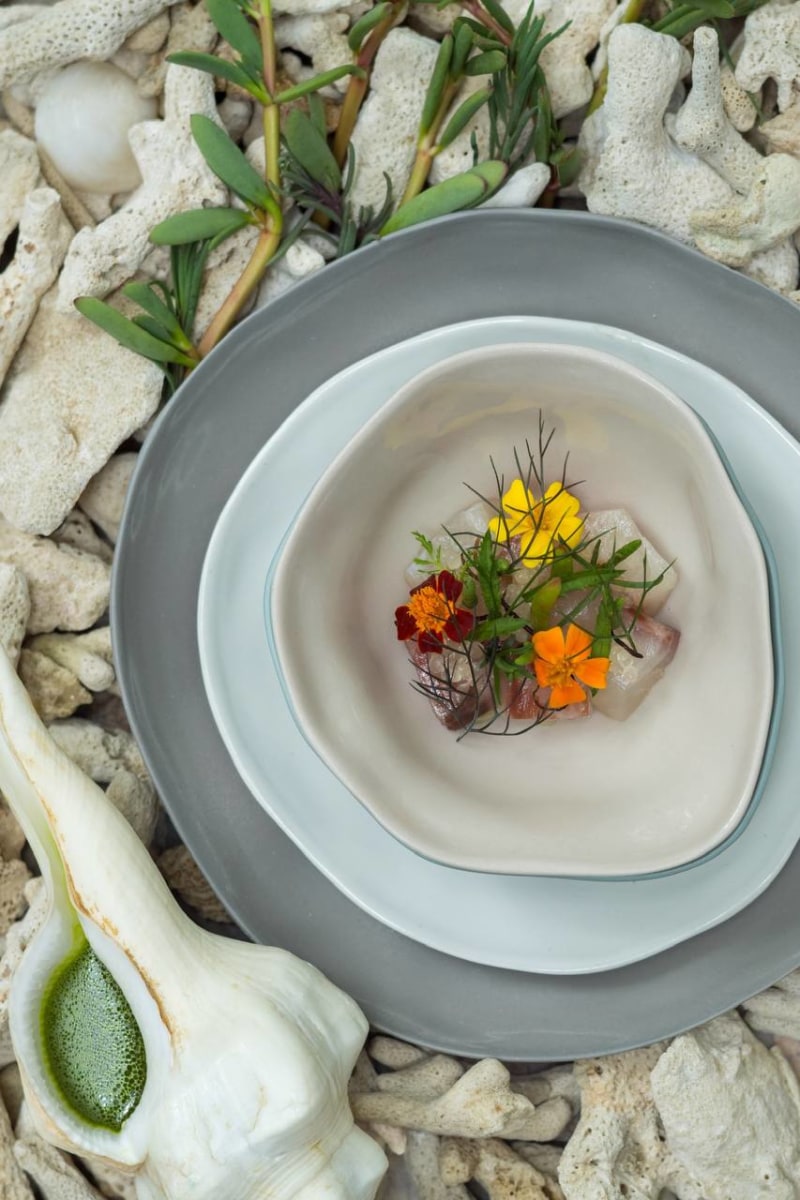 Nephele trevally with coastal plants, seashell service, and coral landscape presentation