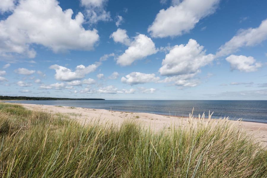 Pristine coastal dunes and beach on Hiiumaa in spring