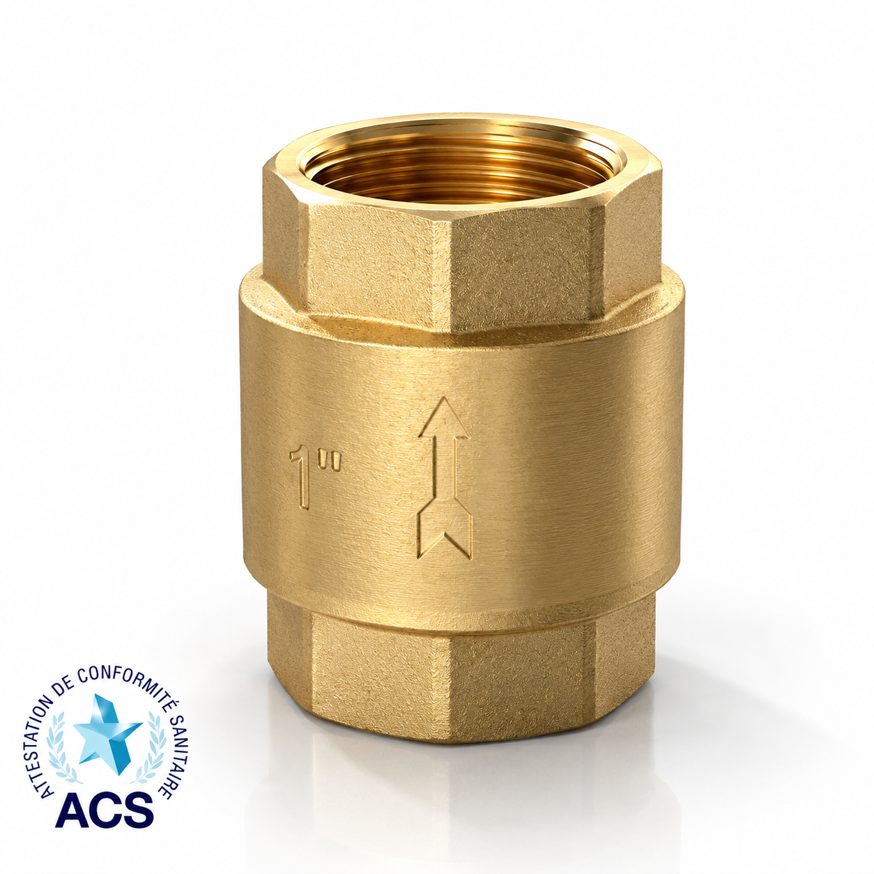 Brass Swing Check Valve