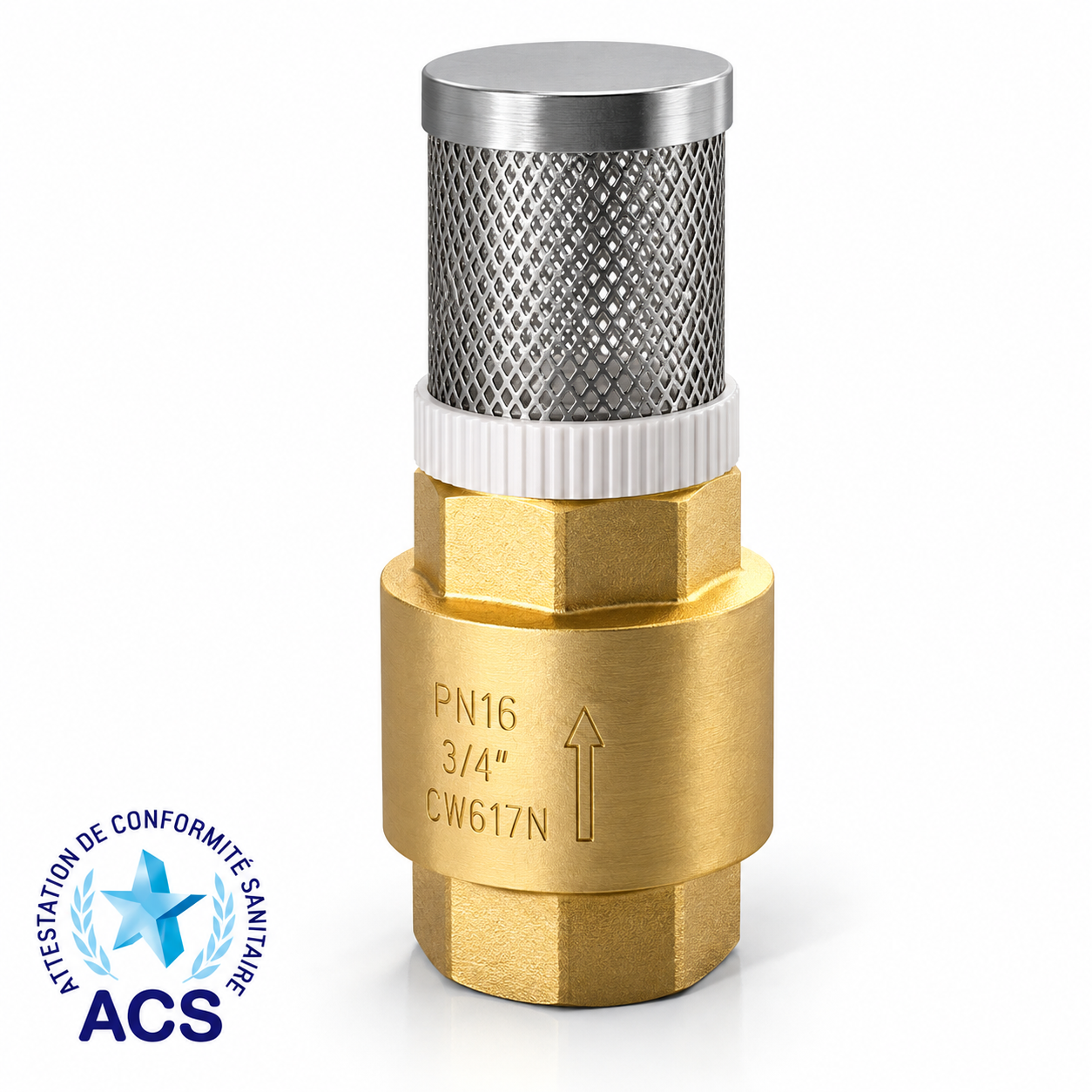 Brass Swing Check Valve Spring with Filter