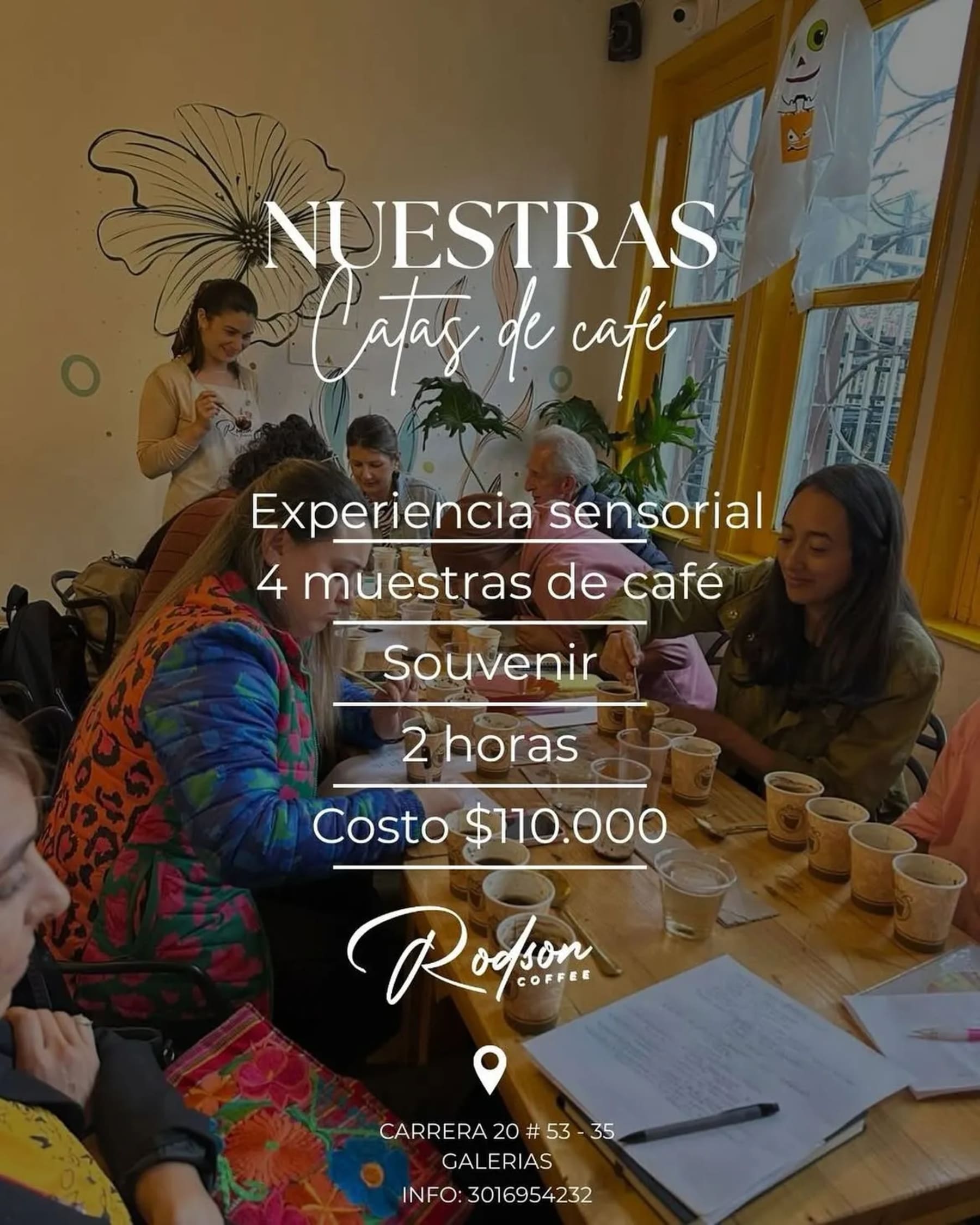 Cata de café