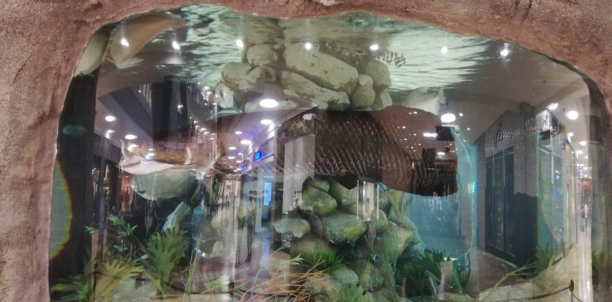 Bastimento Restaurante