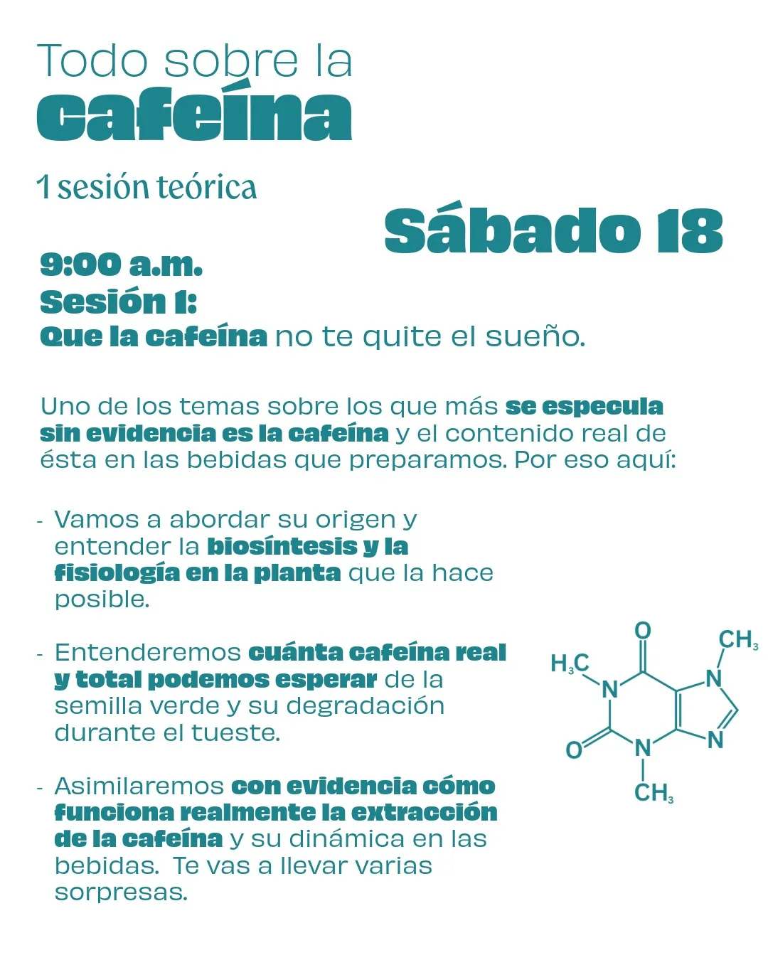 Todo sobre la cafeina