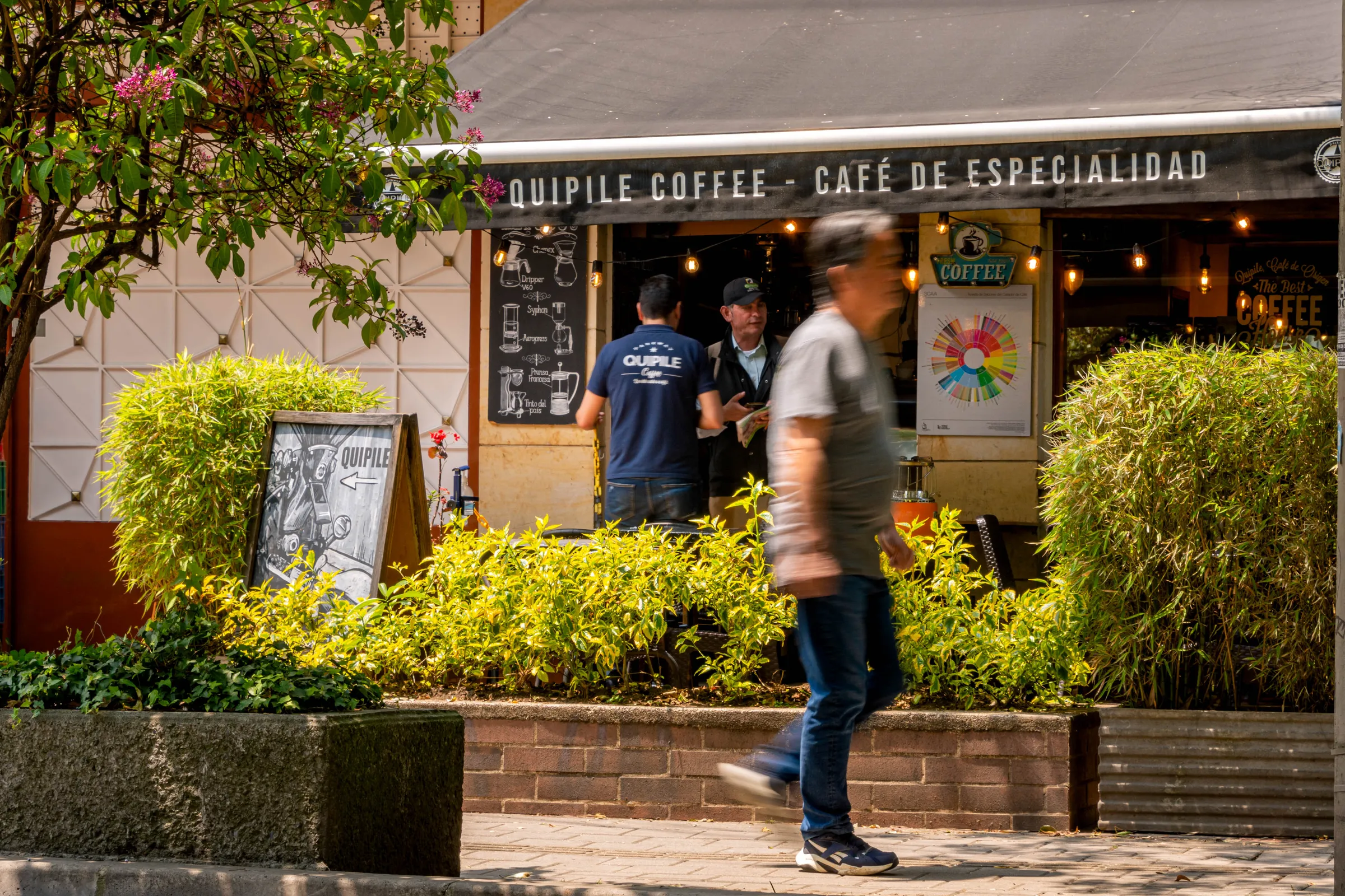 Quipile Coffee
