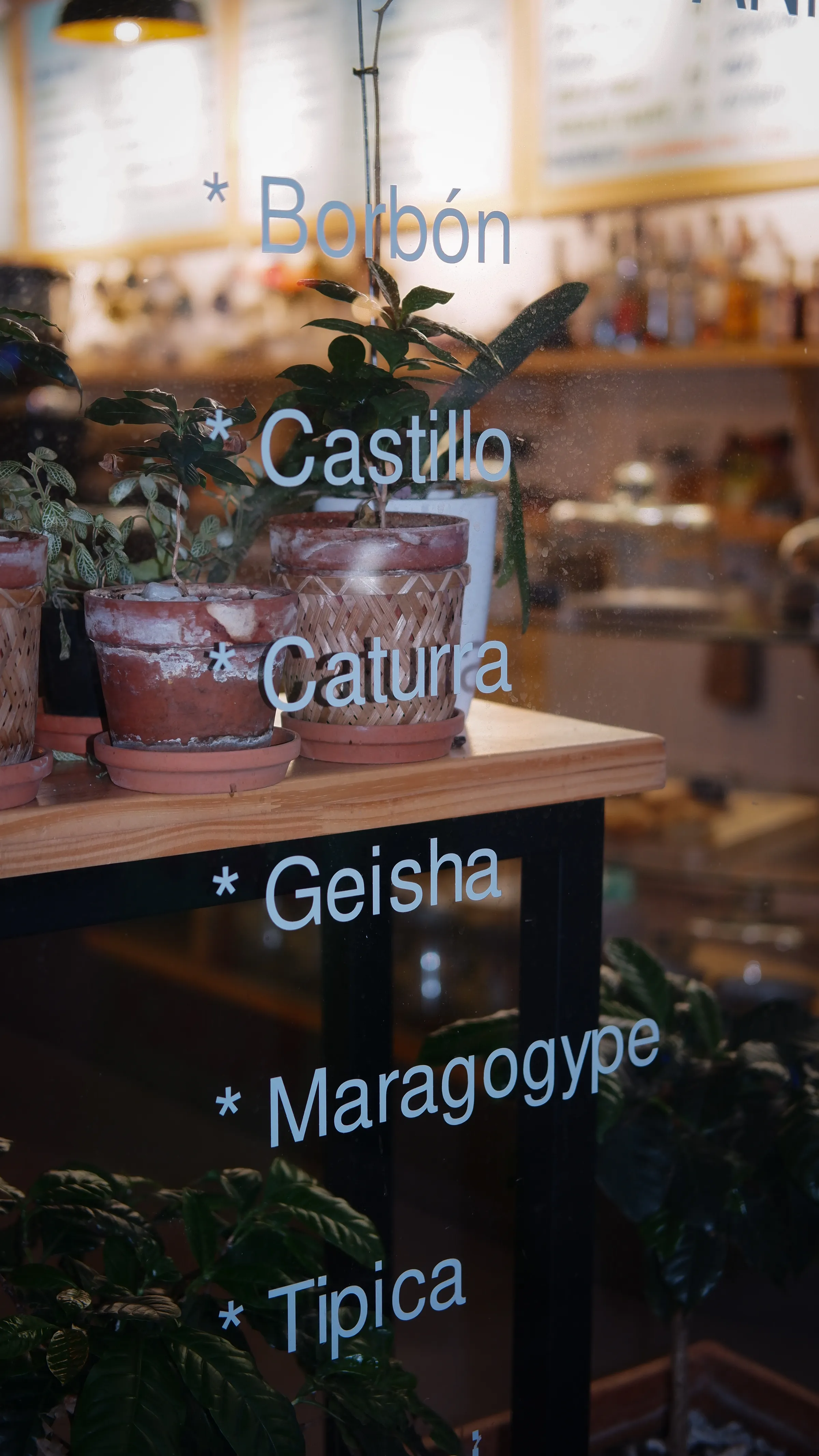 Cafeína Ética — foto 3