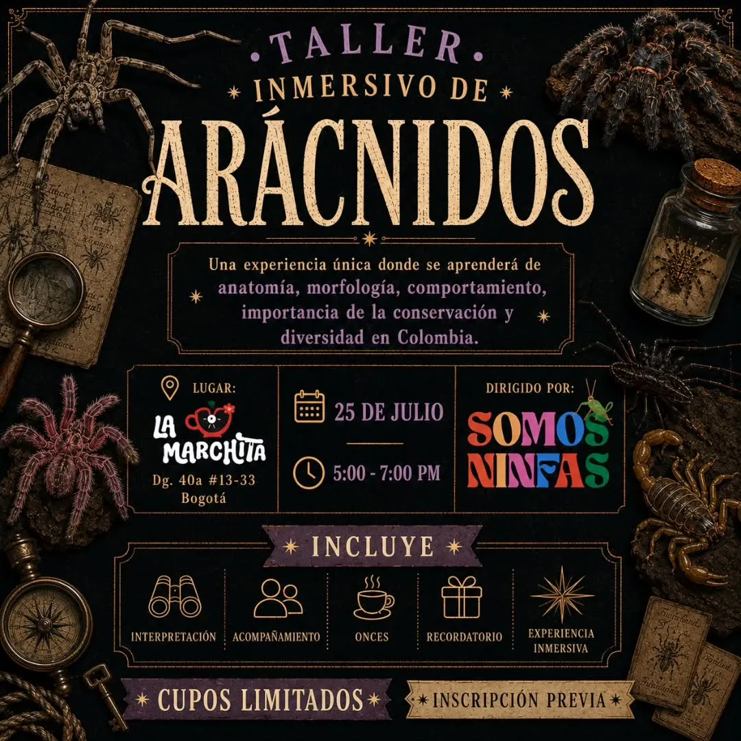 Taller de arácnidos