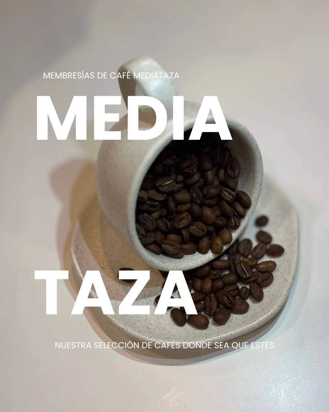 Mediataza