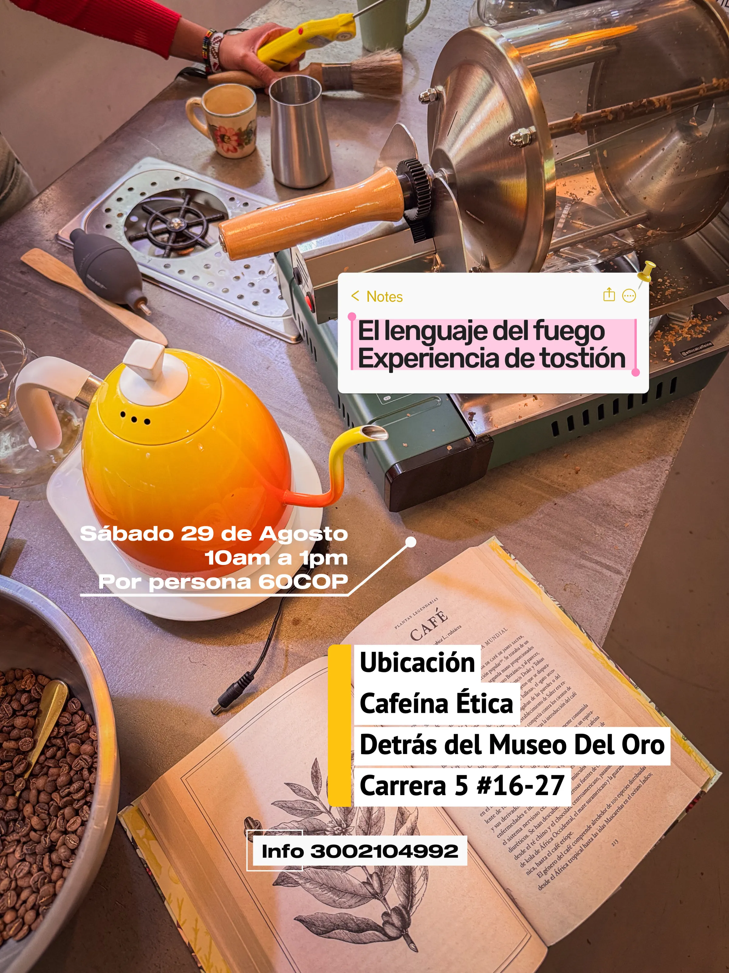 Taller de tueste de café