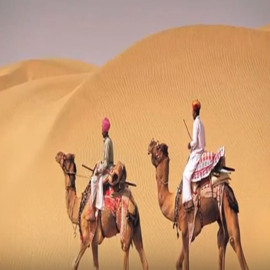 Camel Safari tour by tempo traveller 8