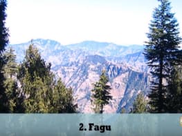 fagu tour by tempo traveller