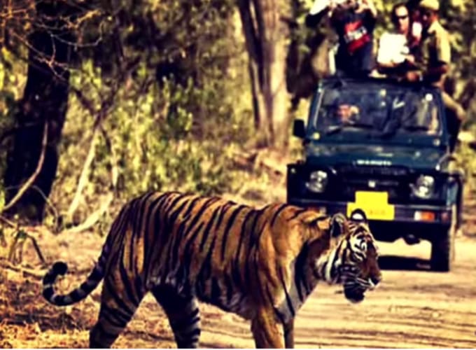 Book your tempo traveller for outstation tours