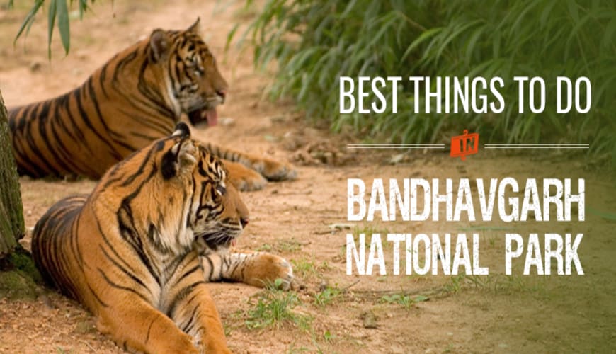 bandhavgarh tour package from delhi