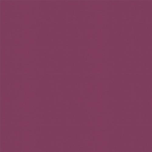 Banlightduofr grape