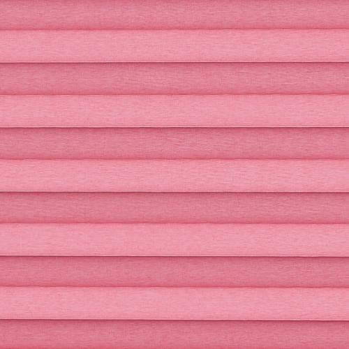 Wiltonblackout pink