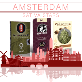 Amsterdam Sativa Stars - Cannabis Samen Bundle von Secret of Eden - Cannabissamenpakete mit einer Illustration des Amsterdamer Skyline gezeigt.