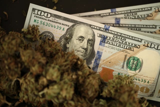 Cannabis Chronicles: Mythen, Medizin und Kontroversen