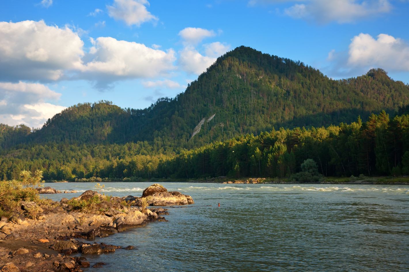 Densely forested hills overlooking a calm river with a rocky shoreline under a blue sky.