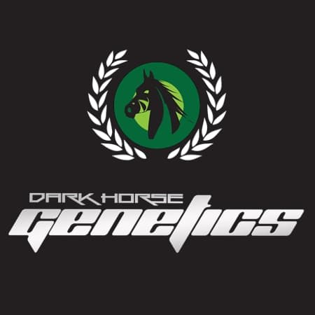 Logo of Dark Horse Genetics with a green horse silhouette inside a laurel wreath.