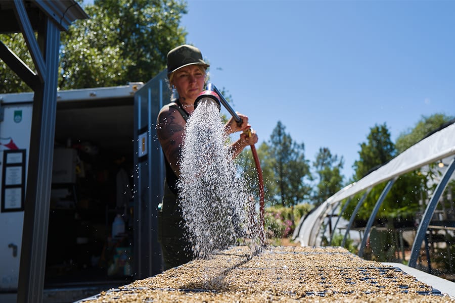 Worker distributing soil outdoors with a shovel.