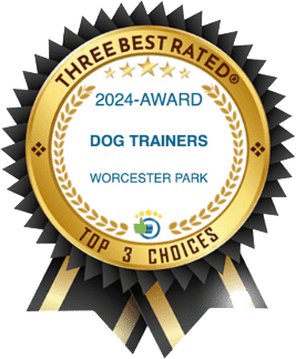 HD Award Top Three Dog Trainers Worcester Park