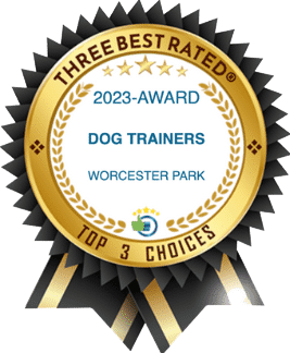 HD Award Top Three Dog Trainers Worcester Park
