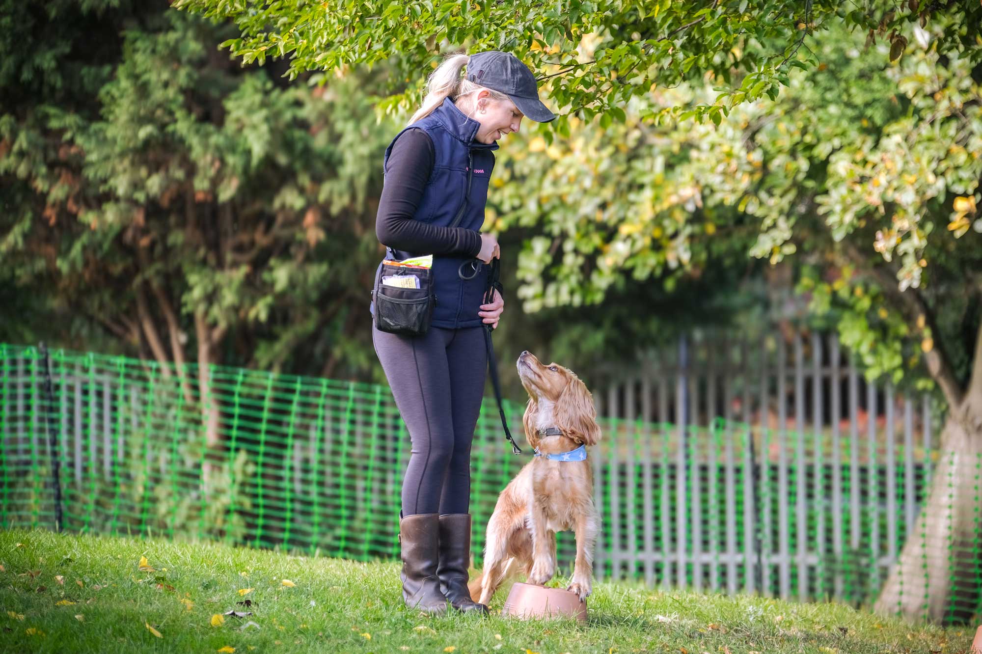 Horton Dogs Cocker Spaniel Demo Pivot In Group Class DSCF