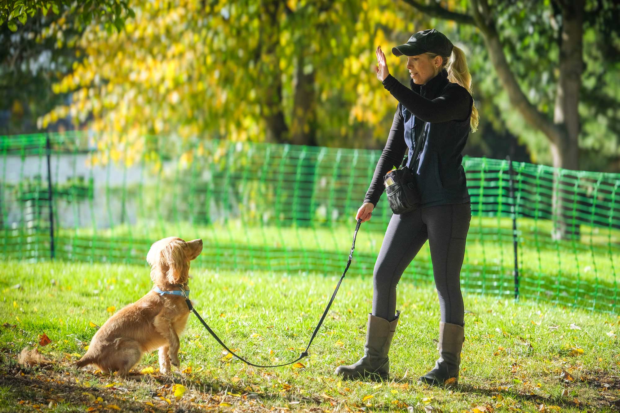 Horton Dogs Cocker Spaniel Demo In Group Class  DSCF