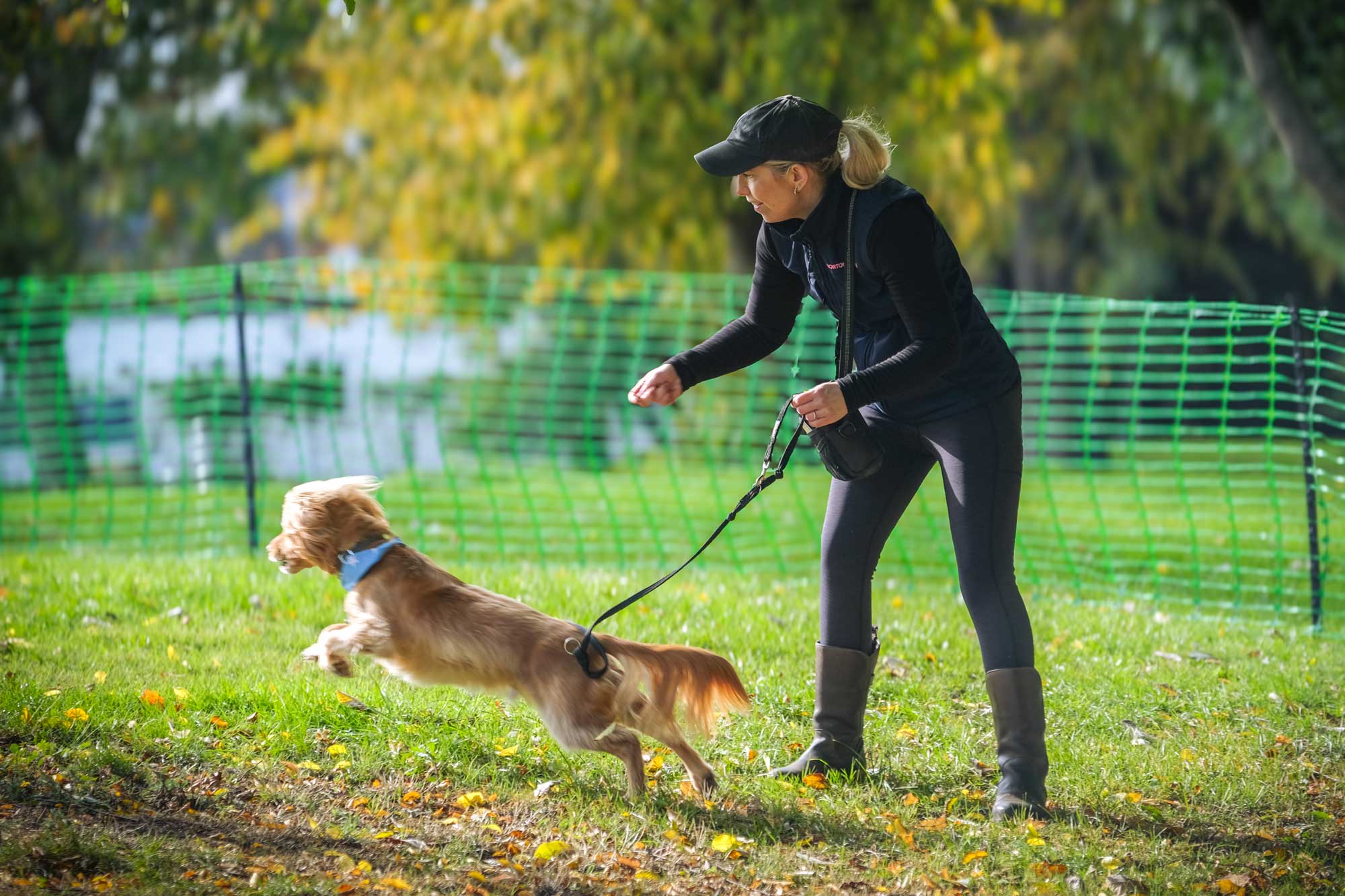 Horton Dogs Cocker Spaniel Demo In Group Class DSCF