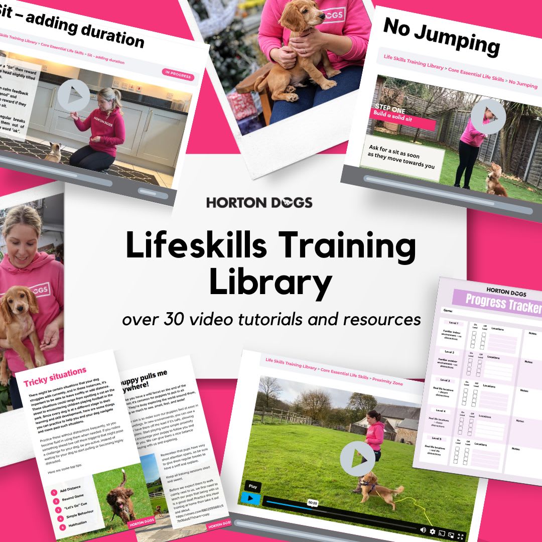 Lifeskills Training Library image