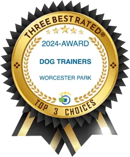 HD Award Top Three Dog Trainers Worcester Park
