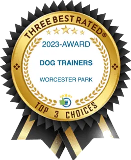HD Award Top Three Dog Trainers Worcester Park