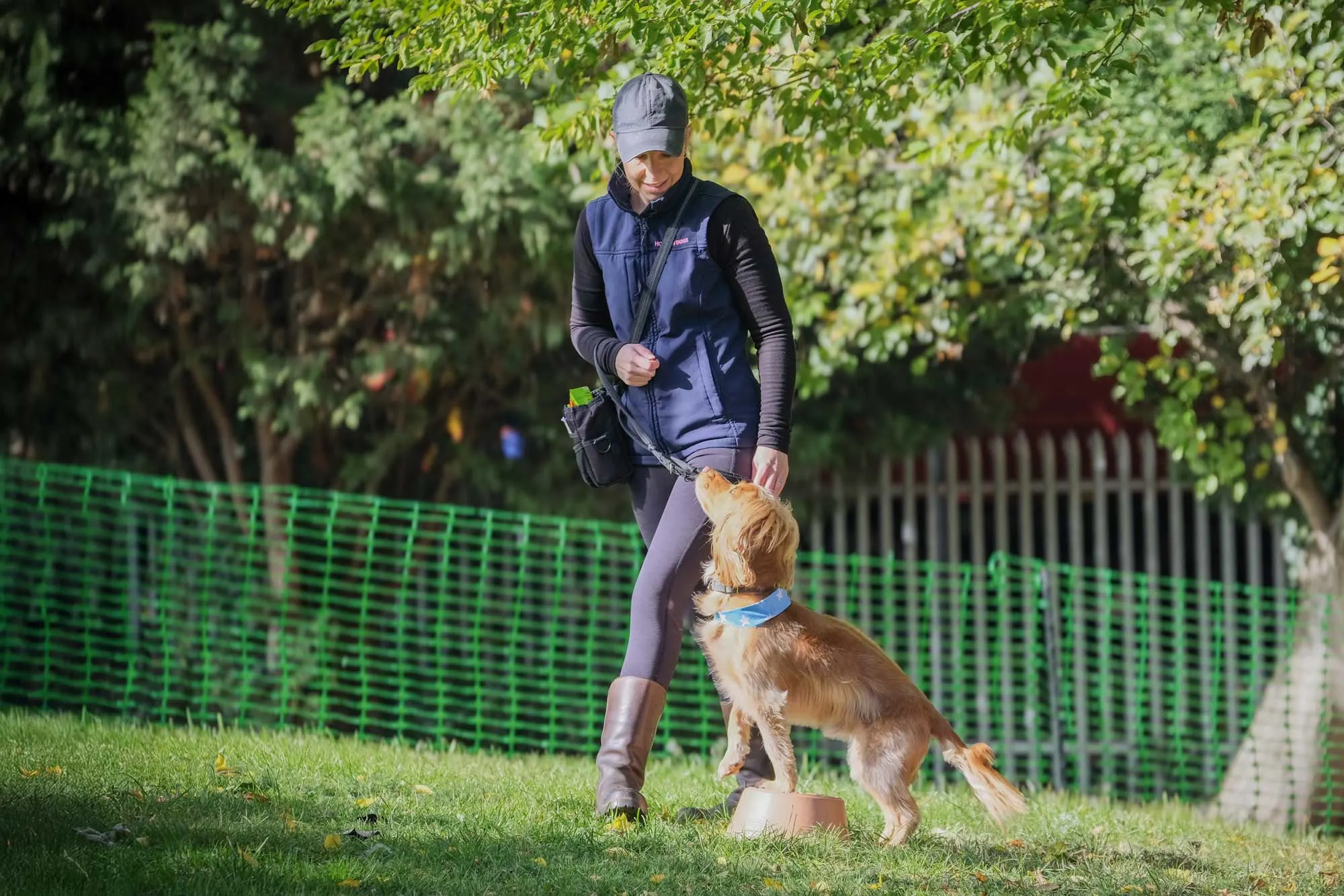 Horton Dogs Cocker Spaniel Demo Paws On In Group Class  DSCF