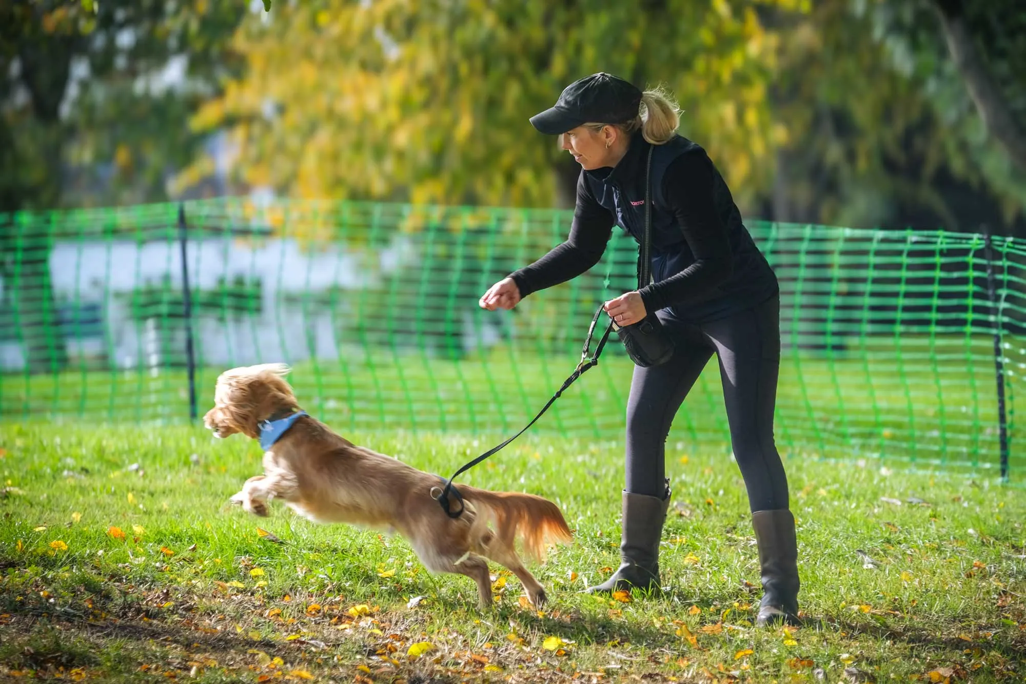 Horton Dogs Cocker Spaniel Demo In Group Class DSCF