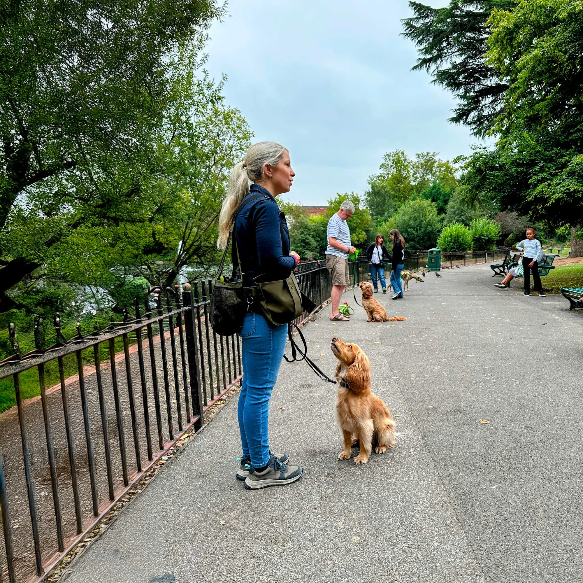 Horton Dogs Social Walk In Bourne Hall Ewell Epsom IMG EDIT
