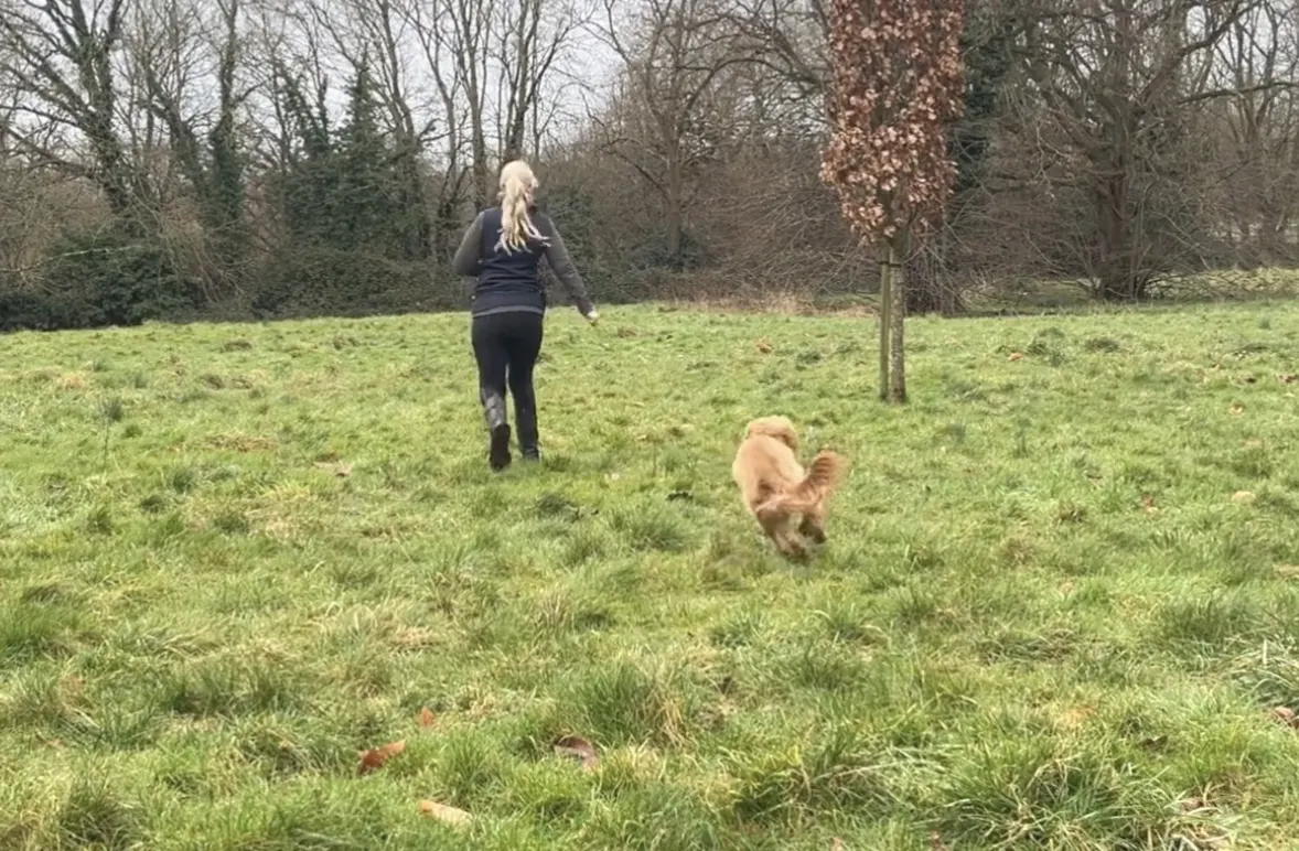 Screenshot At|Horton Dogs Training Game Cover For Proximity Zone