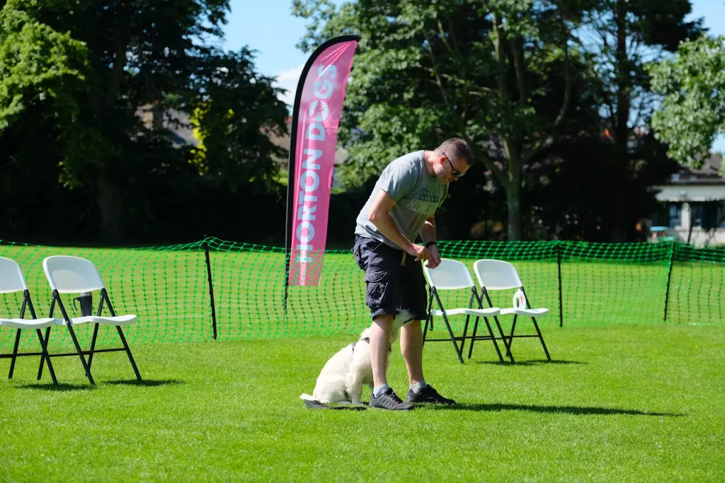 practicing middle in puppy class