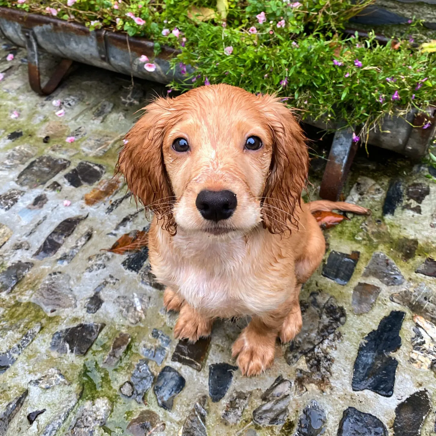 15AFD9F2 6015 4E46 AF45 7085D541A420