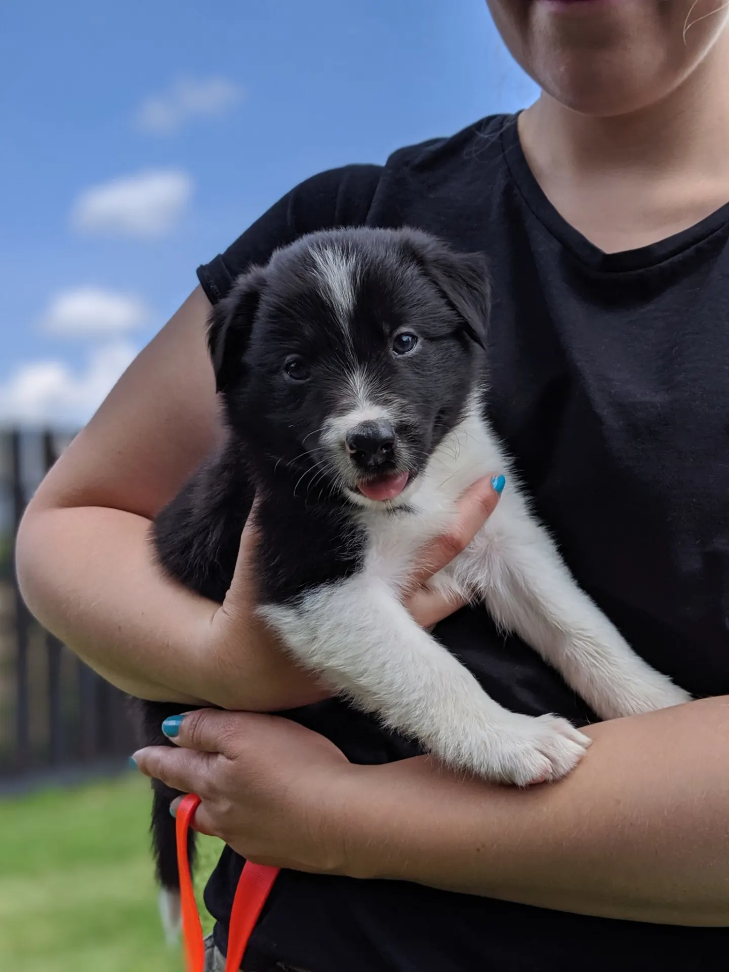 00100lPORTRAIT 00100 BURST20190716124438742 COVER 1